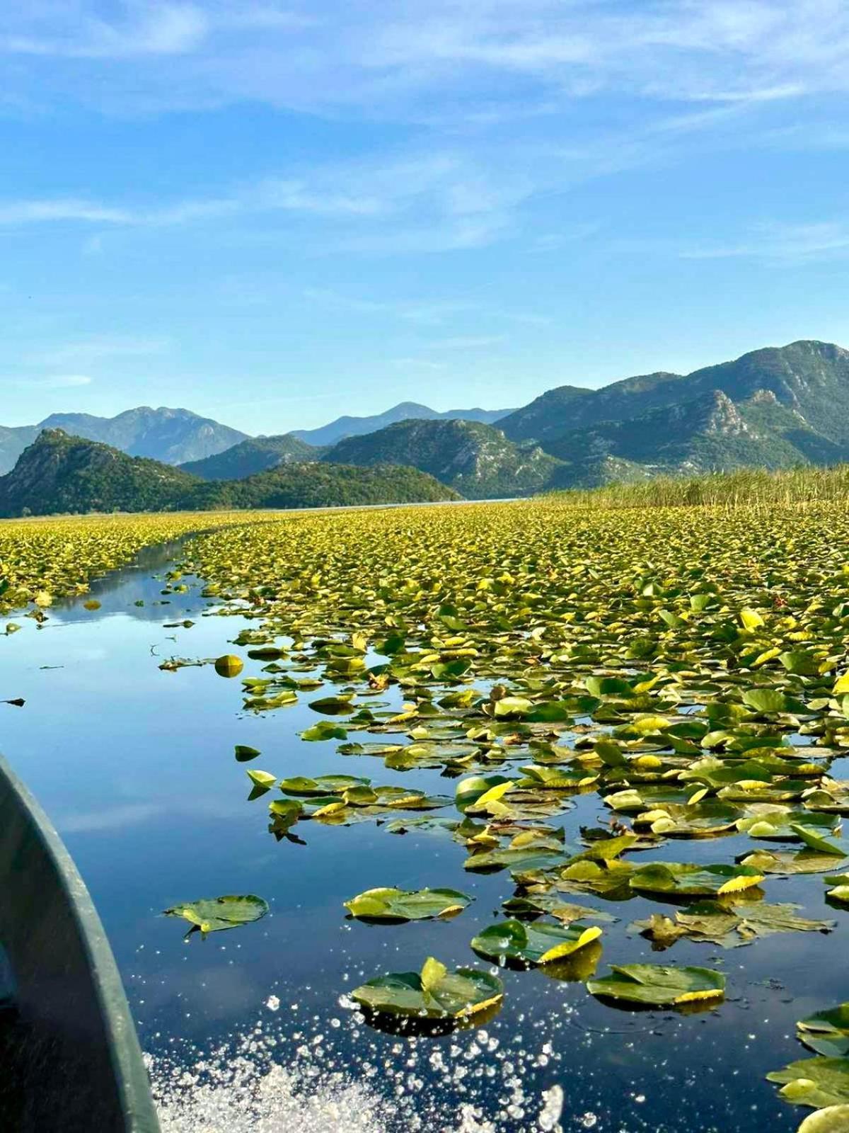 Casa Di Kiara, Skadar Lake Dodosi Exteriér fotografie
